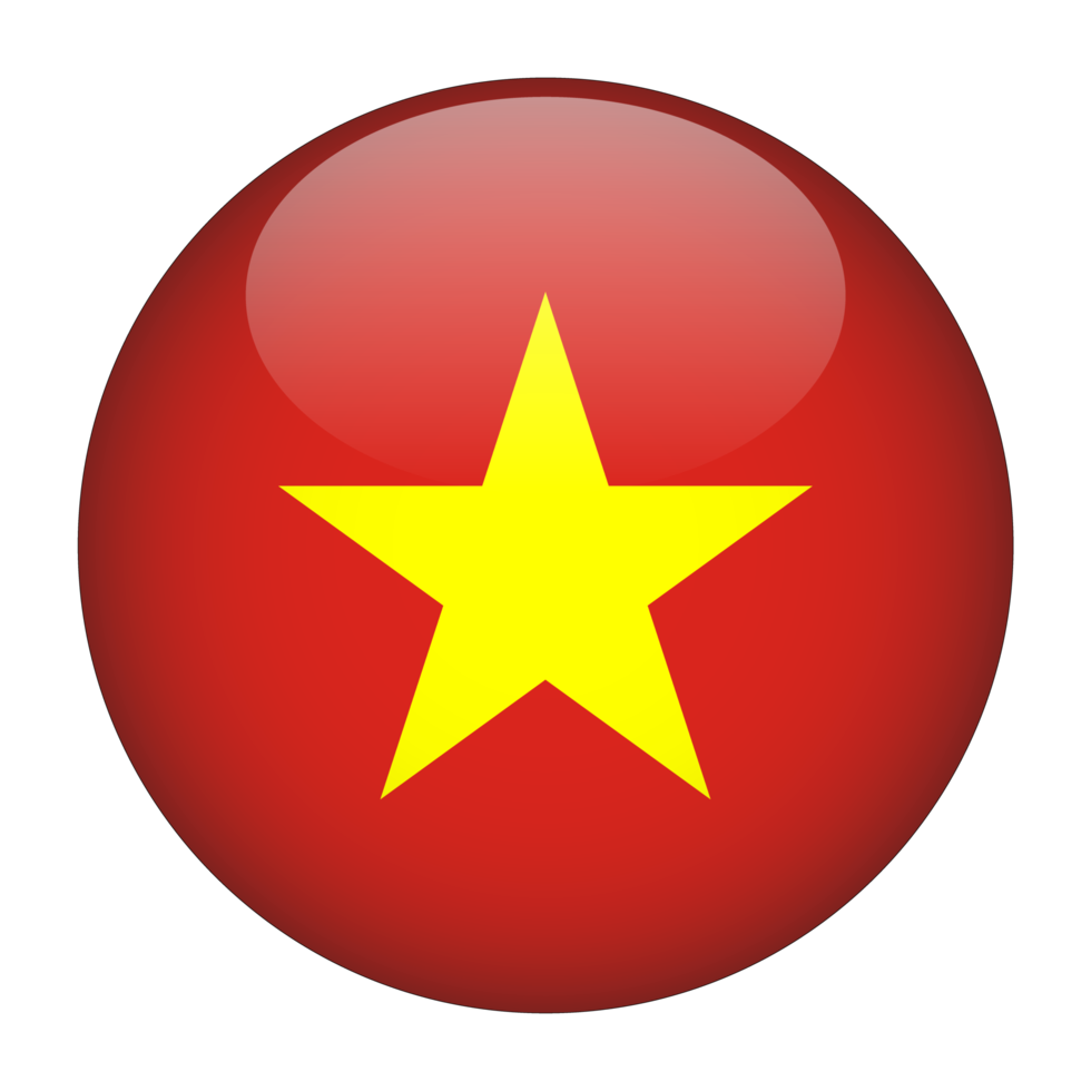 Vietnam Flag